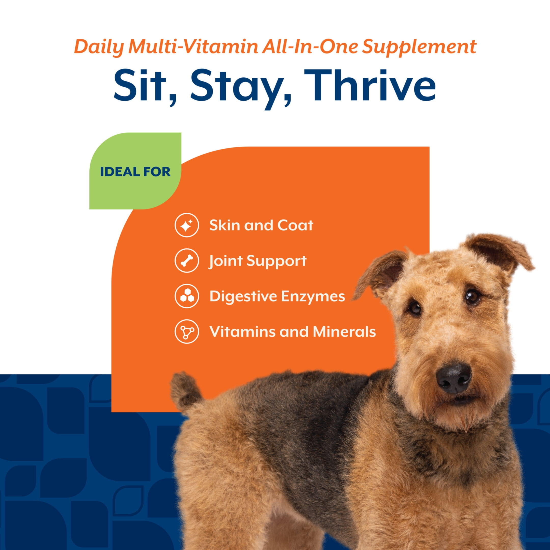 NaturVet Daily Multi-Vitamin All-In-One Supplements for Dogs, Bacon and Chicken Flavor, 120 Count