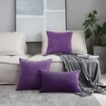thumbnail image 5 of Juego de 2 fundas de almohada decorativas, funda de cojín de terciopelo de felpa de pana a rayas sólidas para sofá cama, berenjena, 50 cm (hy), 5 of 5