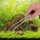thumbnail image 2 of Herramienta de mantenimiento de peceras de acuario, pinzas curvadas de acero inoxidable para plantas y césped, 25cm/9,8 pulgadas, 2 of 8