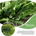 thumbnail image 4 of Rod Wavy Flower Gardening Pole Rose Climbing Pergola Wire Hot F9 Bracket UK, 4 of 8