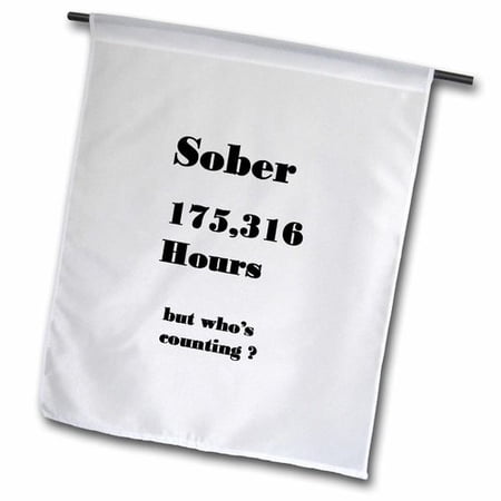 3dRose Image of Sober 20 Years or 175316 Hours Polyester 1 6   x 1  Garden Flag
