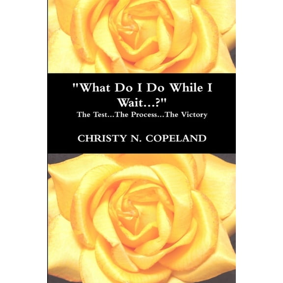 What Do I Do While I Wait...?, (Paperback)