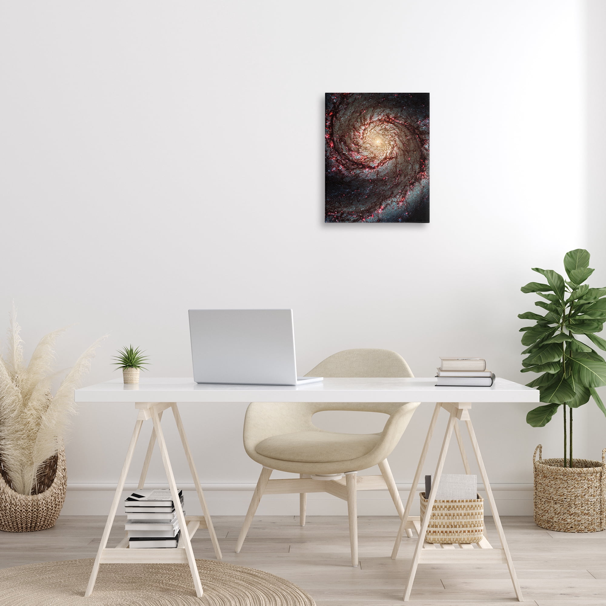 Stupell Industries Great Beyond Nebula Animals & Insects Photography Gallery Wrapped Canvas Art Print Wall Art, 16 x 20