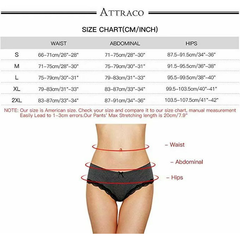 Charmo Women's Cotton Nylon Panties Mid Rise Hipster Briefs Ladies Underwear  4 Pack 