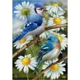 thumbnail image 3 of Briarwood Lane Birds and Daisies Garden Flag, 3 of 4