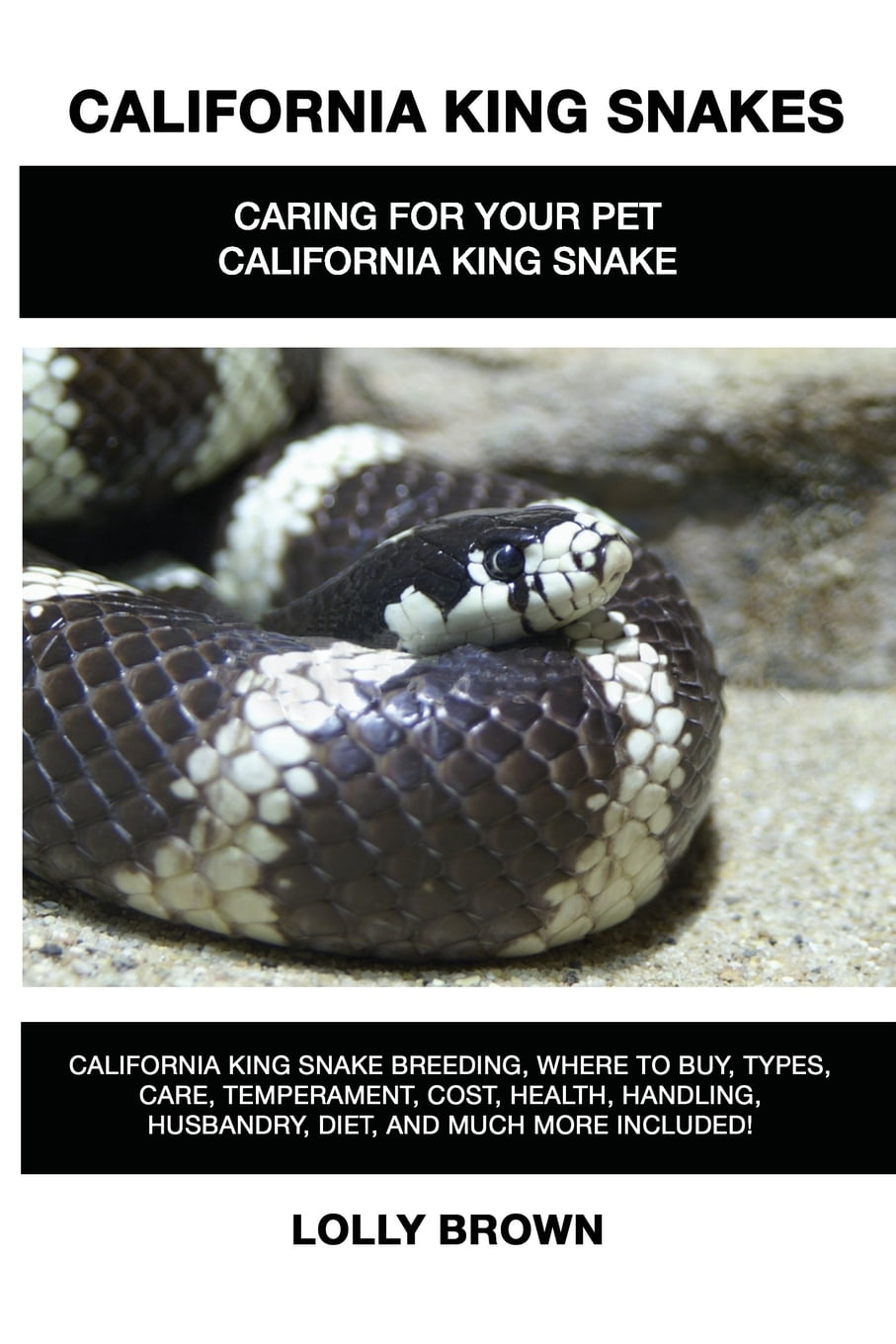 California King Snake breeding, where to buy, types, care, temperament