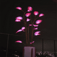 thumbnail image 3 of Growment 12” Artificial Color-Changing LED Bonsai Plant, 3 of 9
