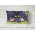 thumbnail image 2 of Caroline's Treasures SS8519PW1216 Tibetan Mastiff Decorative   Canvas Fabric Pillow, 12H x16W, multicolor, 2 of 3