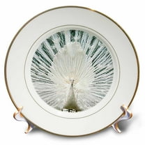 3dRose, White Peacock, 8 inch Porcelain Plate