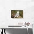 thumbnail image 2 of ARTCANVAS A Female Snowy Owl 1889 Canvas Art Print by Archibald Thorburn - Size: 18" x 12" (1.50" Deep), 2 of 9