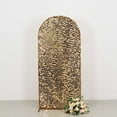 thumbnail image 5 of BalsaCircle 6 ft Gold Fitted Sparkly Big Payette Sequin Round Top Wedding Arch Backdrop Stand Cover Party Events Decorations, 5 of 8