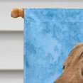 thumbnail image 3 of Carolines Treasures SS4165CHF 28 x 40 In. Curly Coated Retriever Flag Canvas- House Size, 3 of 4
