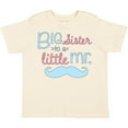 thumbnail image 3 of Inktastic Big Sister to a Little Mr Girls Toddler T-Shirt, 3 of 5