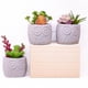 thumbnail image 5 of Mini suculenta artificial en maceta, planta de plástico en maceta, decoración de vegetación sintética, 5 of 5