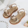 thumbnail image 2 of FINALGANG Little Girls Adjustable Ankle Strap Floral Applique Closed Toe Sandals Shiny Upper Flat Sole Summer Party Kids Princess Sandals Casual Shoes 2.5-3 Years, 2 of 6
