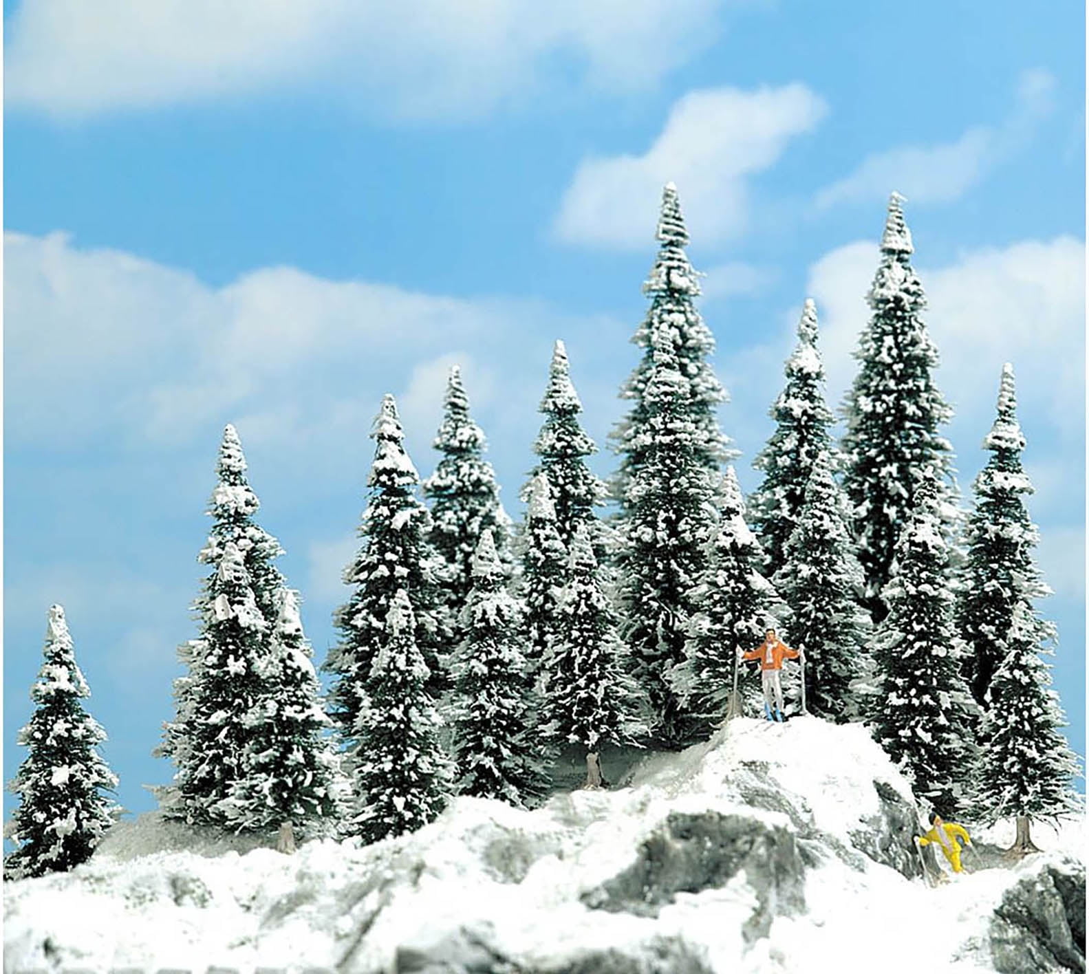 o scale pine trees