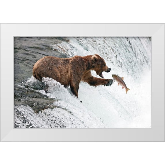 Stahl, Peter 18x13 White Modern Wood Framed Museum Art Print Titled - Unlucky Jump