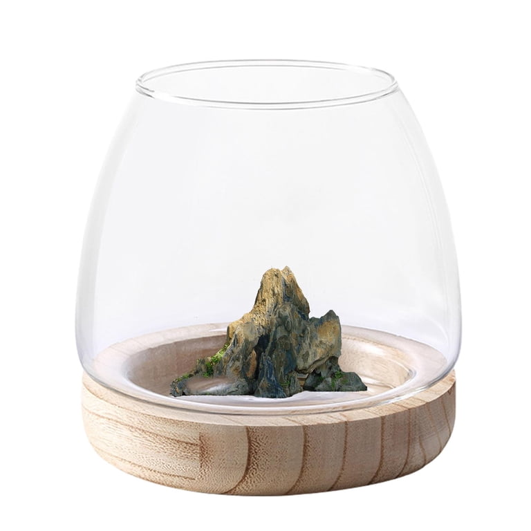 VOSAREA Glass Vase Bowl Glass Bubble Bowl Terrarium Succulent Planter... VOSAREA Glass Vase Bowl Glass Bubble Bowl Terrarium Succulent Planter...