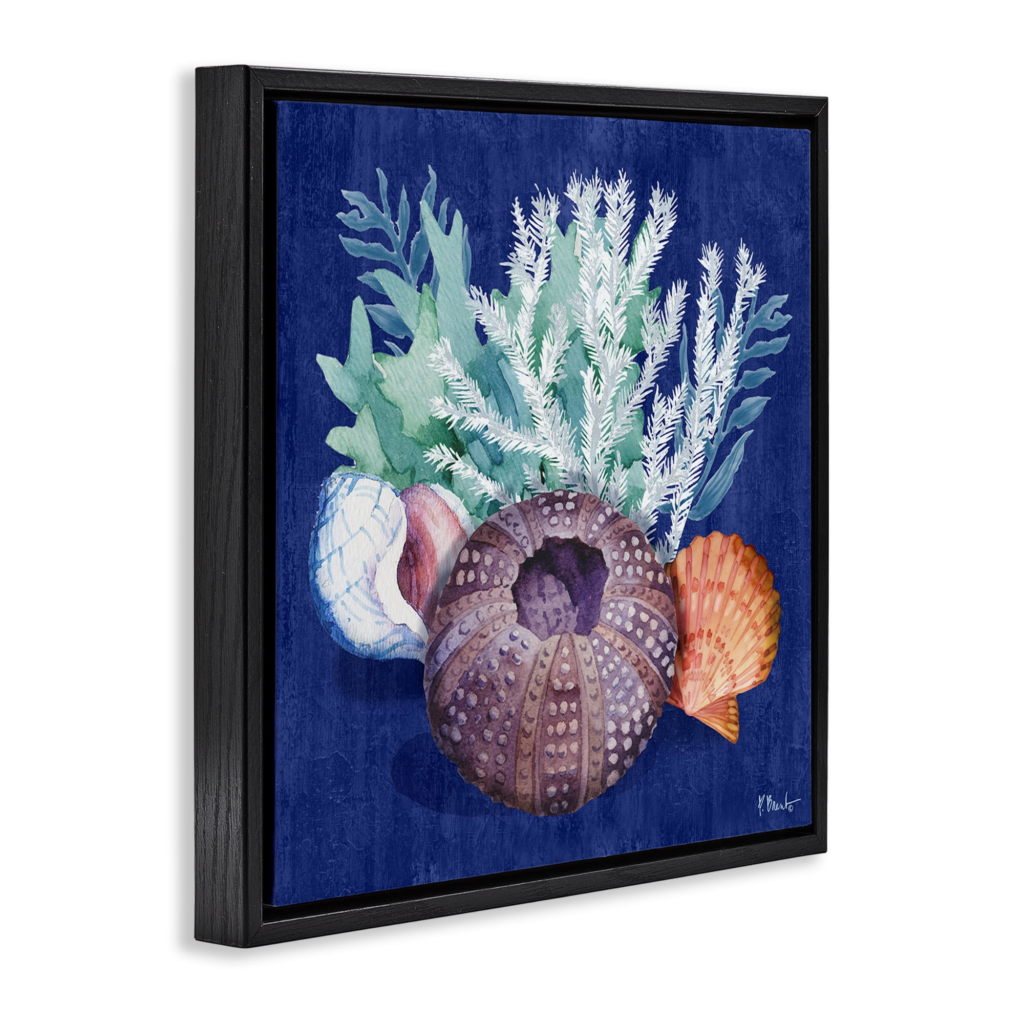 Stupell Industries Urchin Sea Life Coastal Painting Black Floater Framed Canvas Art Print Wall Art, 18 x 18