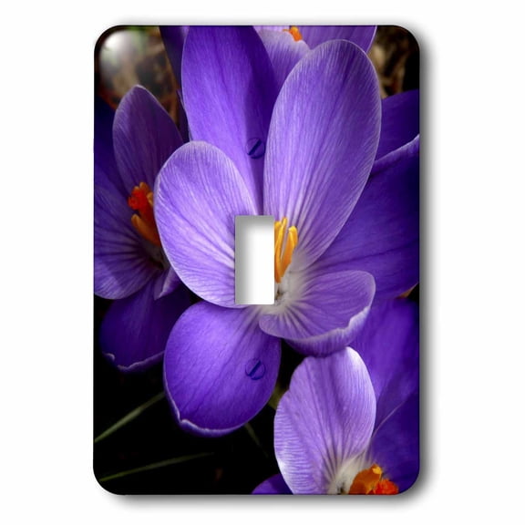 3dRose, Purple Flower, single toggle switch