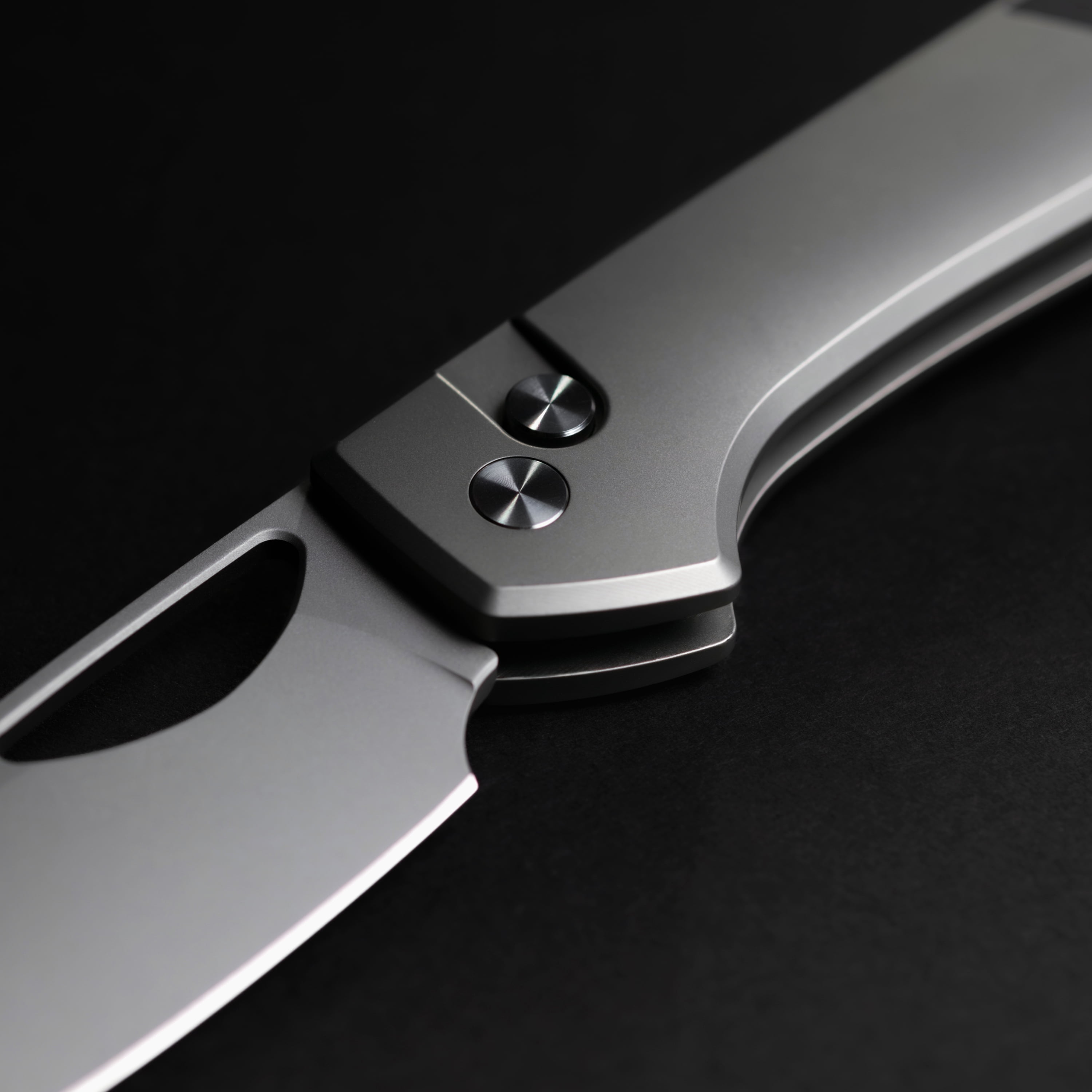 Swiss Tech Losung Premium Folding Knife, Titanium Handle, S35VN Steel, Button Lock, Micarta Inlay