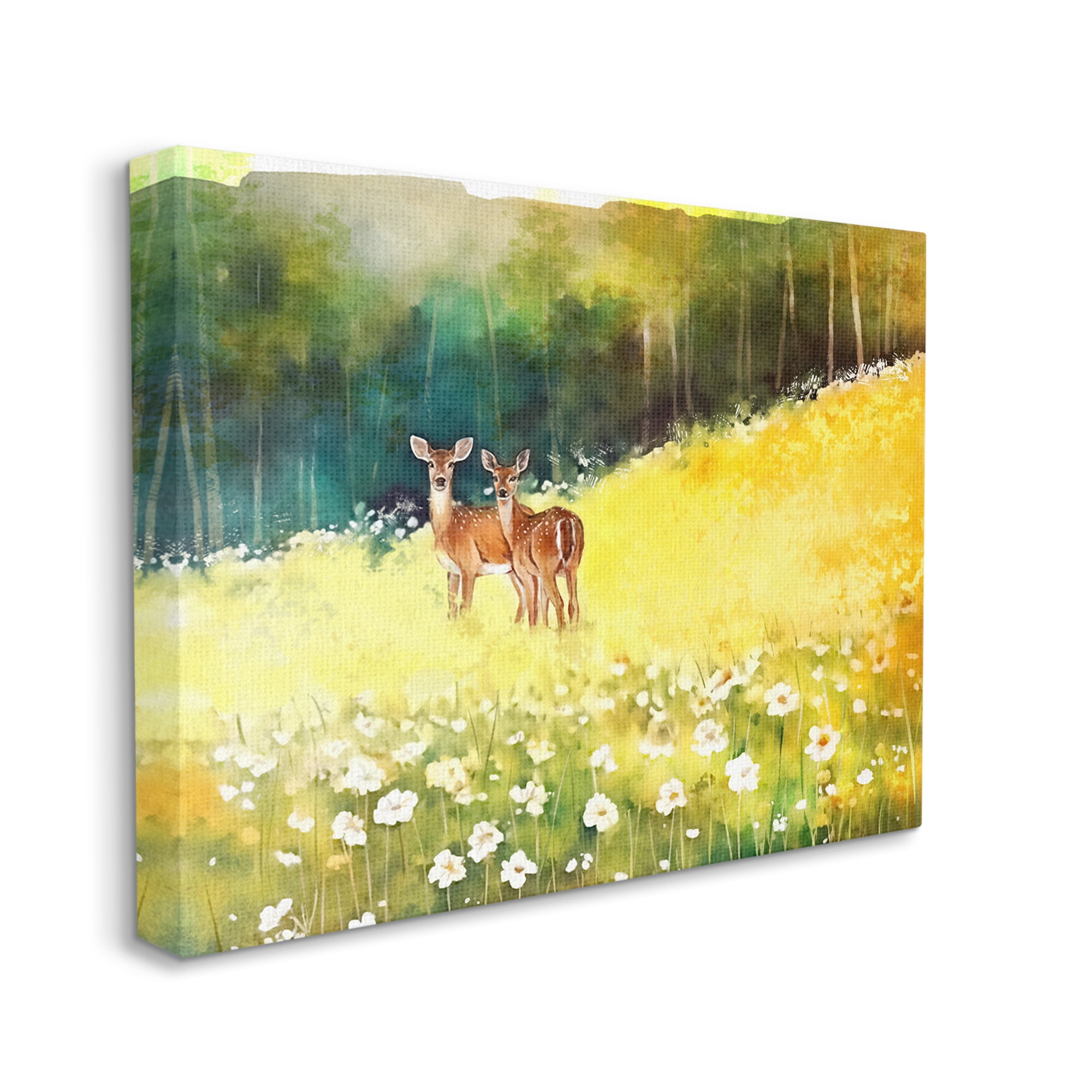 Stupell Industries Fawns in Meadow Watercolor Animals & Insects Painting Gallery Wrapped Canvas Art Print Wall Art, 48 x 36