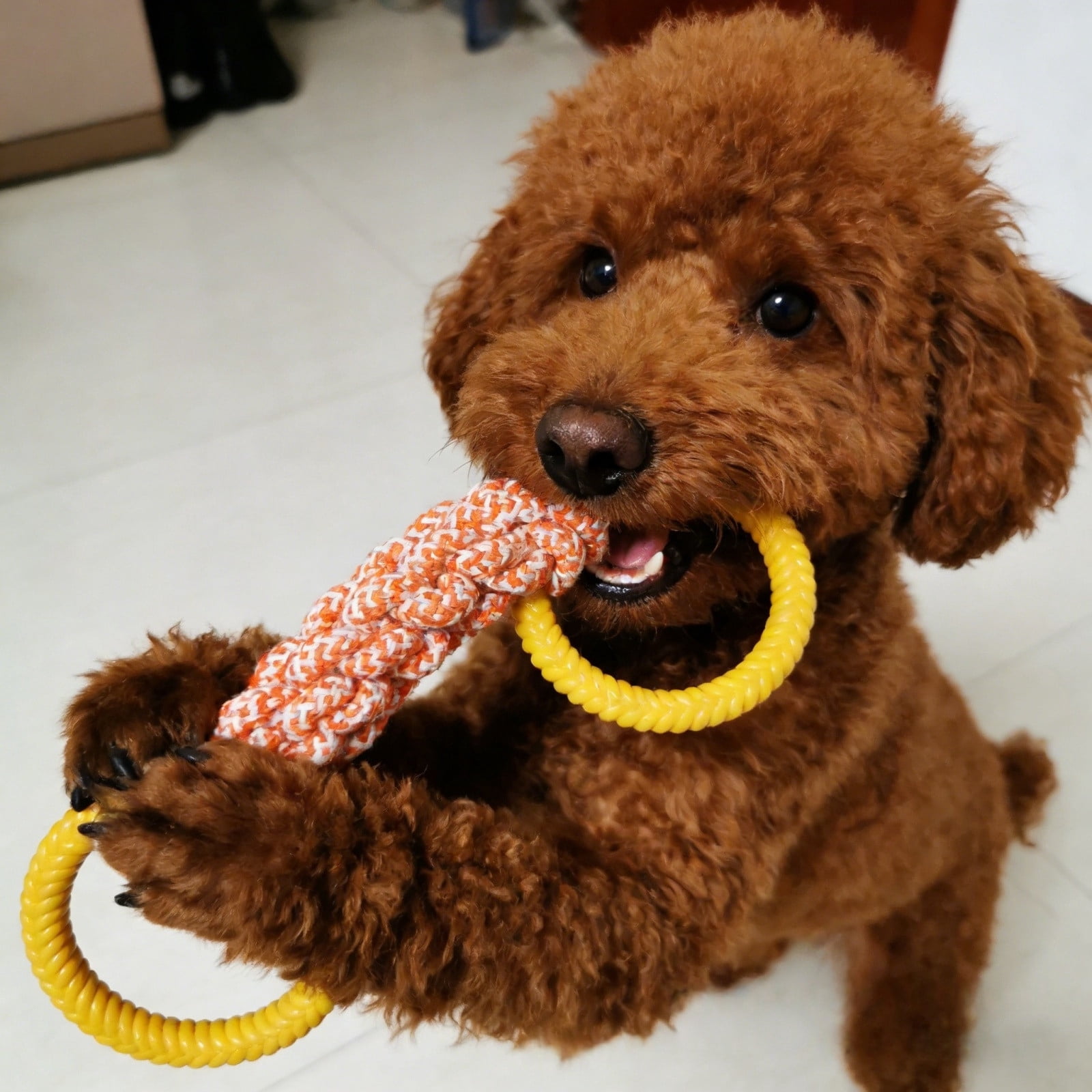 Rope and Rubber Interactive Chew Toy for Small to Medium Dogs Dark Barking Style Squeaker-Free Playset to Reduce Boredom and Encourage Chewing