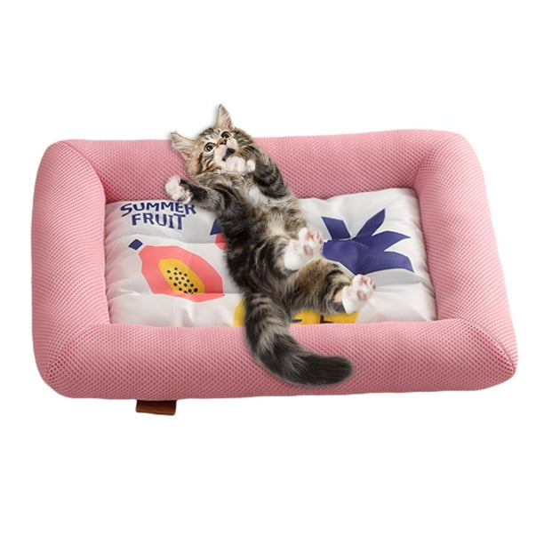 Outdoor dog top bed walmart