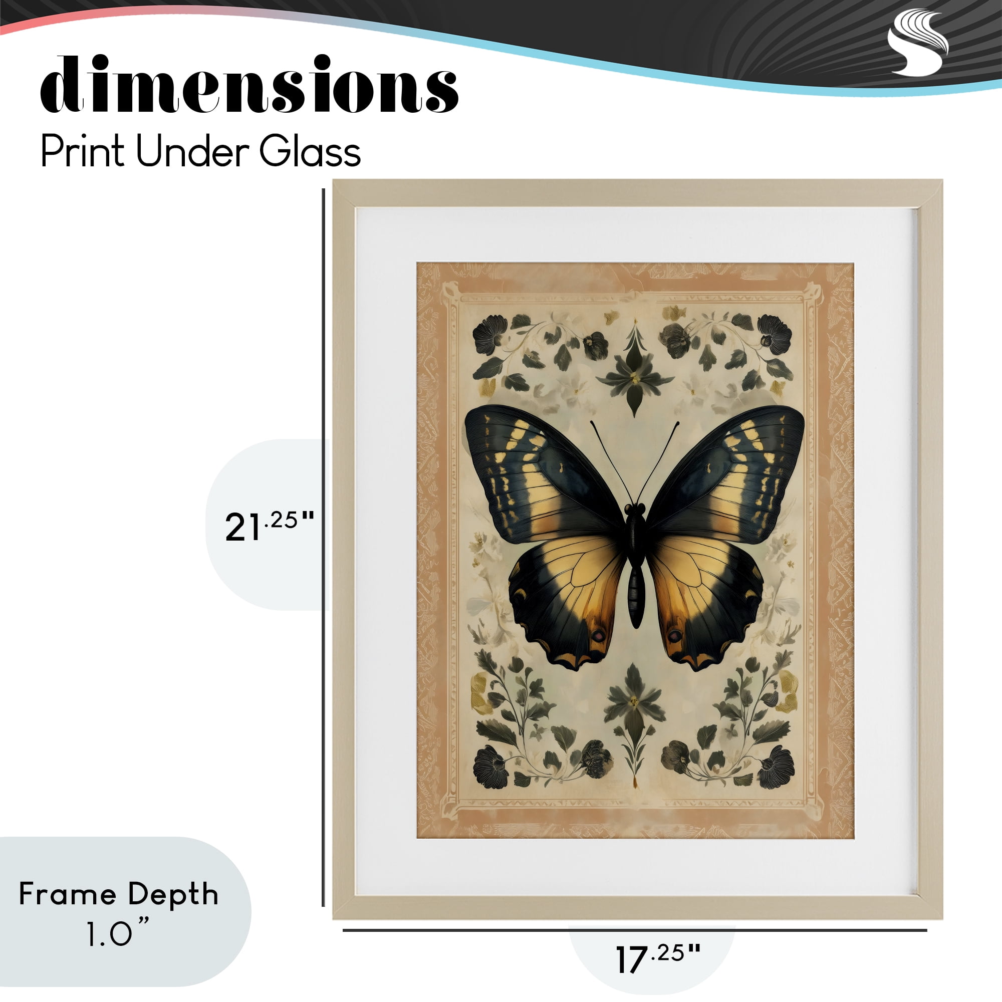 Stupell Industries Vintage Butterfly Botanical Illustration Birch Framed Print Under Glass, design by Arlington Prints
