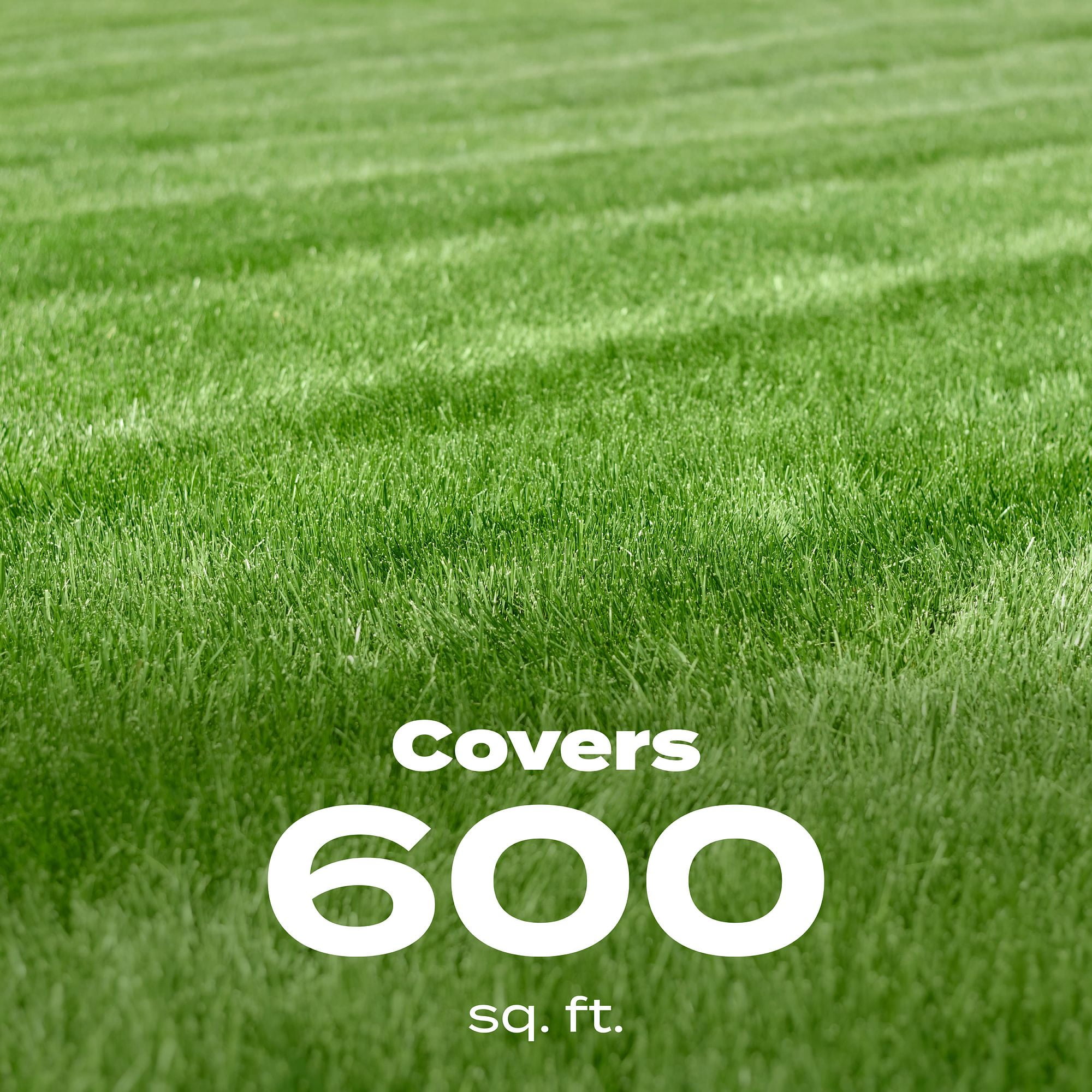 Scotts Turf Builder Starter Food for New Grass Ready-Spray, 32 fl. oz.