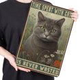 thumbnail image 2 of Placa Metal Vintage Pintura Hierro Rectangular Gato Arte Pared Bar para El 30x40cm, 2 of 9
