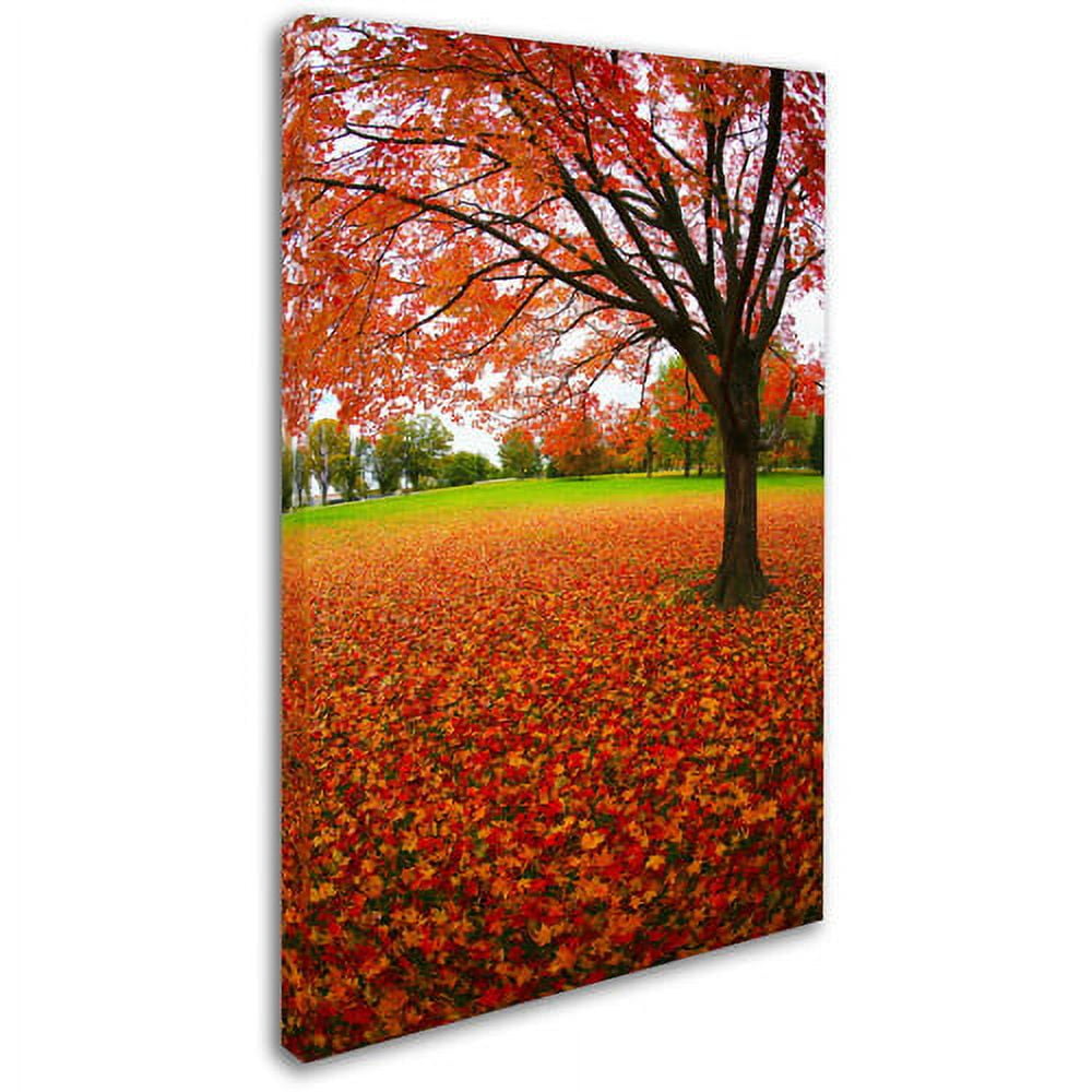 Trademark Fine Art "Autumn Expressions" Canvas Art by CATeyes