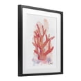 thumbnail image 3 of Stupell Industries Peach Coastal Coral Black Framed Print Under Glass design by Matthew Piotrowicz, 16 x 13, 3 of 10