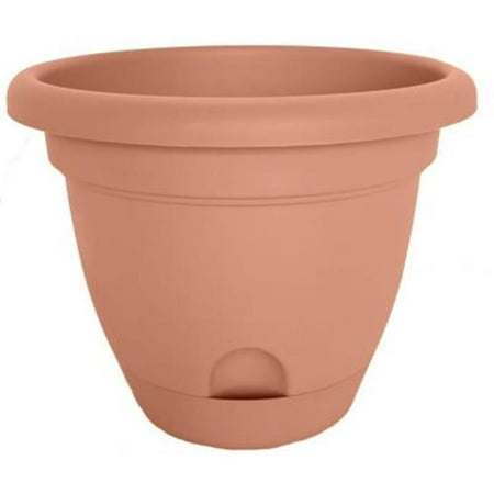 UPC 811214026317 product image for Bloem Lucca Self Watering Planter W/ Saucer 8.75 x 7 Plastic Round Terracotta | upcitemdb.com