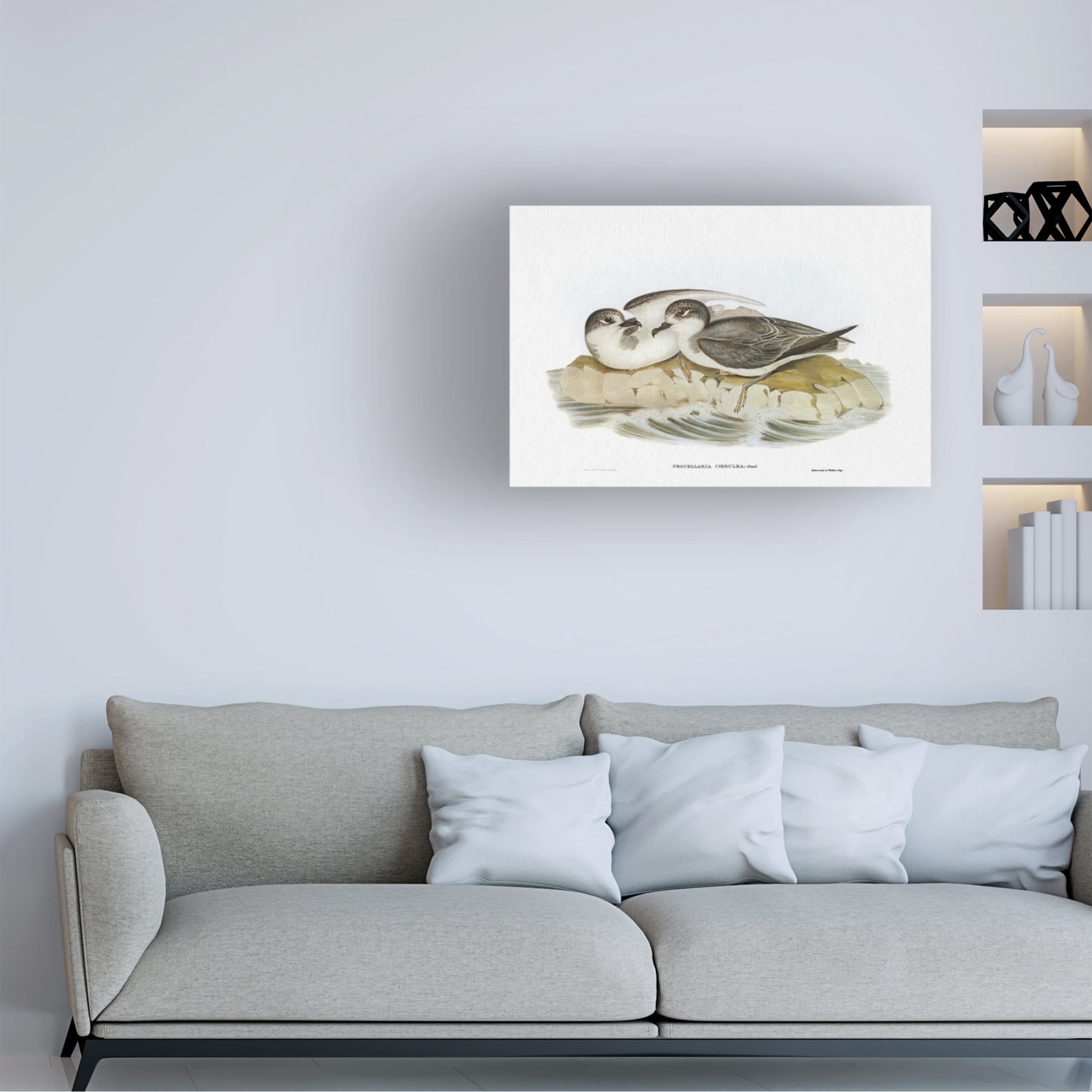 Trademark Fine Art Elizabeth Gould  Seabird Pairing VIII Canvas Wall Art