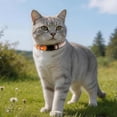thumbnail image 7 of Mumup Rhinestone Cat Collar Breakaway, Soft Velvet Cat Collars with Bell, Adjustable Comfortable Cats Collar, 7.5-12.5 Inch for Cat, Kittens and Puppies, 7 of 7