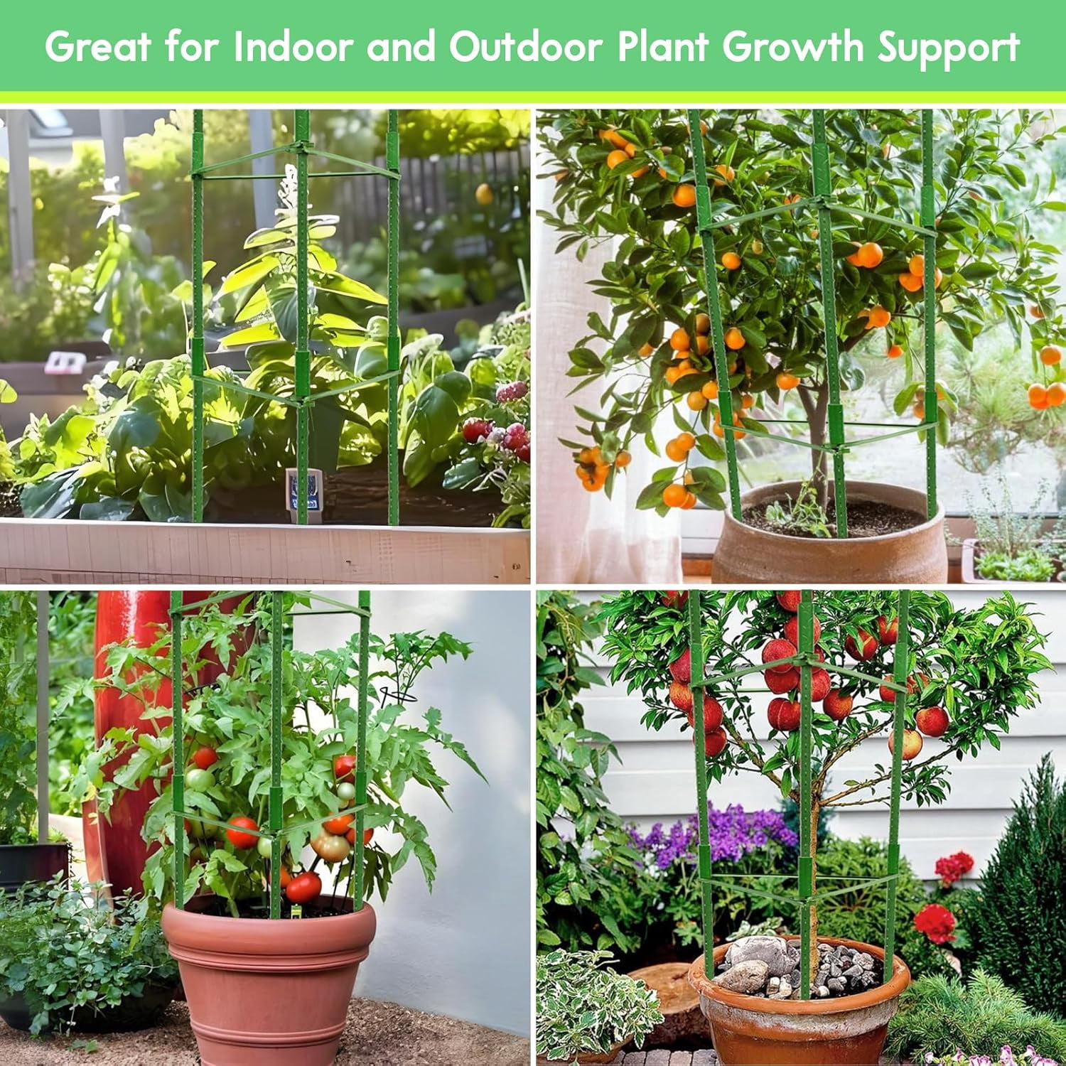 6 Pack 5.2 FT Tomato Cages for Garden- 63inches Heavy Duty Garden Stakes, Adjustable Tall Tomato Plant Support Tomato Trellis Cage for Pots, Raised Garden Bed, Climbing Vegetables Plants Flowers