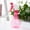Pink, variant on Spray Bottle for Plants,Spray Bottles Gardening Gifts Empty Spray Bottle Refillable Container Water Spray Bottle for Indoor and Outdoor Gardening(Pink 8.5oz 7*3in)from QiwagFerng