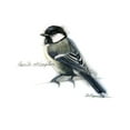 thumbnail image 2 of Dean, Bruce 26x26 White Modern Wood Framed Museum Art Print Titled - Songbird Study II, 2 of 4