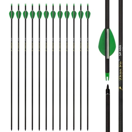 29 Inch Carbon Arrow Practice Hunting Arrows Spine 400 with Removable Tips for Archery Compound & Recurve & Traditional Bow (12 Pcs)