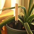 thumbnail image 4 of Juego de herramientas de jardinería funcionales de 3 piezas, juego de palas con mango de madera para personas trabajadoras que plantan flores (pequeño), 4 of 5