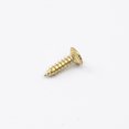 thumbnail image 3 of LOOKSEVEN 50Pcs Electric Guitar Scratchplate Pickguard Screws Bolts for Strat TL Guitar- Gold, 3 of 6