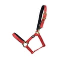 thumbnail image 1 of Hy Fieldsafe Small Pony And Foal Head Collar, 1 of 1