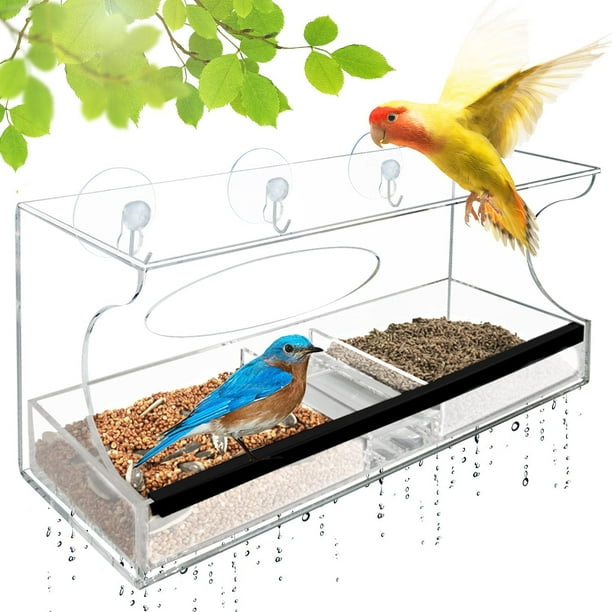Mangeoire à oiseaux de fenêtre en verre transparent, mangeoires pour oiseaux  de soleil, décoration de jardin