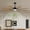Black + Iron＋2, variant on TENGDA 52 Black Windmill Ceiling Fan 52" Fan with LED Light Remote & Reversible DC Motor for Home