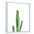 thumbnail image 2 of Designart Green Cactus South Western Plant Botanical Detail FLOAT FRAME WALL ART, 2 of 4