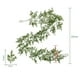 thumbnail image 3 of Simulated Christmas Rattan Feel Soft Glue Green Pines Needles Cypresses Leaf Door Hanging Wall Hanging Home Layout Interior Decoration, 3 of 5