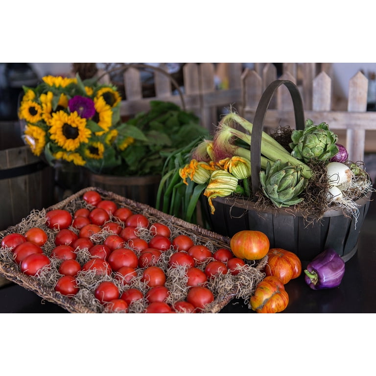 Decoratief Mos Gedroogd Bosmosgroen Natuurlijke Decoratie 300g