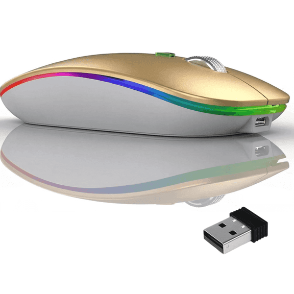 Verdevida Wireless Bluetooth Rechargeable Mouse with LED lights, Dual Mode BT 5.2 & 2.4G with Nano Receiver, Portable Mouse for Laptop,Macbook,iPad