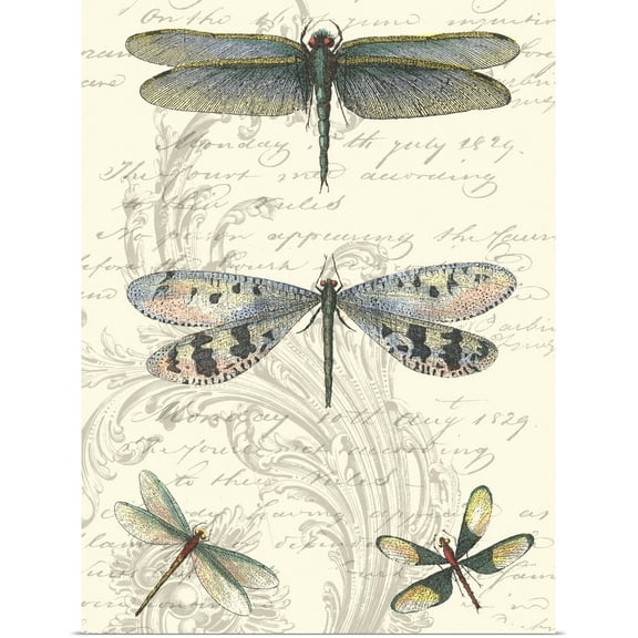 Great BIG Canvas | Rolled Vision Studio Poster Print entitled Dragonfly Delight II